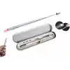Metal Kutulu Kırmızı Lazerli, Led Işıklı Mıknatıslı Pointer Kalemi İşaretçi Uzayabilen Sunum Çubuğu Teleskopik Metal Tükenmez Kalem (PRS-1521G)