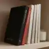 Fark Tanıtım Okuma Günlüğü – A5 Sert Kapa­klı “Reading Journal, 100 Kitap İncelemesi, Günlük Okuma Takibi (Kiremit)