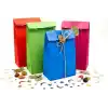 15x29 Renk Şöleni Mix Kese Kağıdı Seti – 4 Renk Karışık 12’li Paket | Kalın, Dayanıklı Hediye Paketleme İçin İdeal