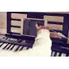 Casio Casiotone CT-S300C2 61 Tuşlu Org, Siyah