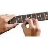Ibanez IFC1000 Fret Temizleyici