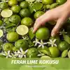 Herbal Essences Arındırıcı ve Parlatıcı Şampuan 350 ml