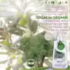 INCIA%100 Doğal Sıvı Kastil Sabunu Hassas Ciltler İçin Zeytinyağlı 10 Bitkisel Değerli Yağ Vegan 250 ml