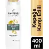 PANTENE Kepek Karşıtı 3ü 1 Arada Şampuan 400 ml