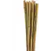 Gardener 163702 Bambu Destek Çubuğu 10Lu - 6-8 Mm X 60 Cm