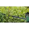 Bosch Home and Garden çit kesme makinesi UniversalHedgeCut 50 (480 W, bıçak uzunluğu: 50 cm, orta büyüklükteki çitler için, diş açıklığı: 26 mm, karton ambalajda)