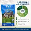 DSV Lippa Pro Shadow 5S Gölge Alan Çim Tohumu, Ağaç Altı ve Yarı Gölge İçin 5 Bileşenli Karışım, 1 kg