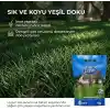 DSV Lippa Pro Shadow 5S Gölge Alan Çim Tohumu, Ağaç Altı ve Yarı Gölge İçin 5 Bileşenli Karışım, 1 kg