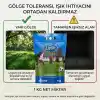DSV Lippa Pro Shadow 5S Gölge Alan Çim Tohumu, Ağaç Altı ve Yarı Gölge İçin 5 Bileşenli Karışım, 1 kg