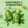 Organix Teatree Mint Şampuan 385ML