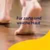 Scholl nasır törpü, 1 adet