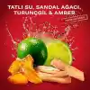 Old Spice Whitewater Erkek Hediye Seti: Stick Deodorant ve Duş Jeli