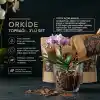ZEVLİ Organik Orkide Toprağı 3 LT (3 Adet Premium 1 LT Paket)%100 Doğal Çam Kabuğu