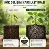 Özel Karışım Güzelbahçe Genel Kullanıma Uygun Torf