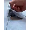 Koku Önleyici Gider Kapağı 5li Paket Balkon Gider Kapağı Banyo Mutfak Lavabo Balkon Gider Tıkacı Tıpası Kapağı Böcek Önleyici Drenaj Kapağı Gider Koruyucu