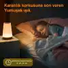 Greentech Masaüstü Şarjlı LED Aydınlatma Gece Lambası/GT-CL11
