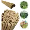 120 Cm Doğal Bambu Bitki Destek Çubuğu 10 Adet 5-10 mm