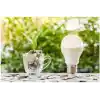 Philips 8w (60W) Led Ampul Beyaz 6500k E27 (5 ADET) Tasarruflu Lamba