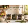 Kilner Borosilikat cam kapaklı saklama kabı, 500 ml, hava geçirmez, vakumlu mühürlü, bulaşık makinesinde yıkanabilir, kapaklı saklama kutusu, BPA içermez, 10,4 x 10,4 x 7,2 cm
