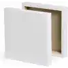 Foxy Mini Tuval 30x30 cm Kare Resim Tuvali - 1 Adet