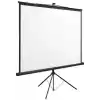 Codegen TX-20 200X200cm Tripod Ayaklı Taşınabilir Projeksiyon perdesi, Siyah