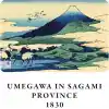 Retronote Hokusai 4lü Defter Seti 4, Mount Fuji Series Iv, Çizgisiz, 64 Sayfa, 14x21cm