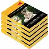 Kodak 10X15 5Li Parlak Fotoğraf Kağıdı 260Gr- 500 Adet