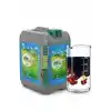 EkosolFarm EkosolFarm Sıvı Solucan Gübresi 10 Lt + EasyWay Hortum Ucu Sprayer EWB Çim ve Tüm Bahçe Bitkilerine Uygun Sıvı Gübre