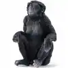 1 Adet Fiyatı ile Kaliteli Ürün (Bonobo Model)