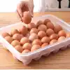 Pratik Kullanım için Ergonomik 30lu Yumurta Saklama Kabı