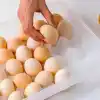 Pratik Kullanım için Ergonomik 30lu Yumurta Saklama Kabı