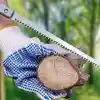 Keskin Kesici Ergonomik İnce Kıl Testere ile Pratik Kesim