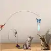 Eğlenceli Vantuzlu Zilli Kedi Olta Oyuncağı 2 Tüy Seti