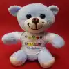 Sevimli Doğum Günü Peluş Hediye 25 cm