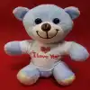 Peluş 25 cm I Love You Tişörtlü Hediye