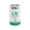Yüksek Kapasiteli 3.6V D Boyut Pil 17000 mAh - Uzun Süreli Kullanım