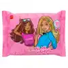 Pratik Mini Cep Mendili 10lu Set