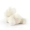 Sevimli Peluş Teddy Bear 20 cm İvory Renkli