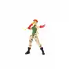 TCX 253252033 6 Figure