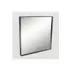 TCX 2X Vantuzlu Zoom Ayna