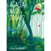 TCX Ağaçlar Nasıl Doğar?