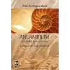 TCX Anlambilim