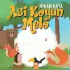 TCX Asi Koyun Melo