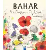 TCX Bahar Bir  Öyküsü