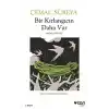 TCX Bir Kırlangıcın Daha Var