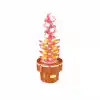 TCX Block Flower 211 Parça Sukulent