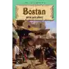 TCX Bostan