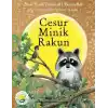 TCX Cesur Minik Rakun