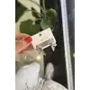 TCX Çiçek Küpe - Pembe