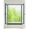 TCX ÇİFT KANATLI SİNEKLİK